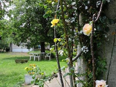 suite familiale carcassonne