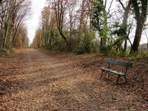 randonnee-chemin-st-jacques-compostelle-piemon-pyreneen